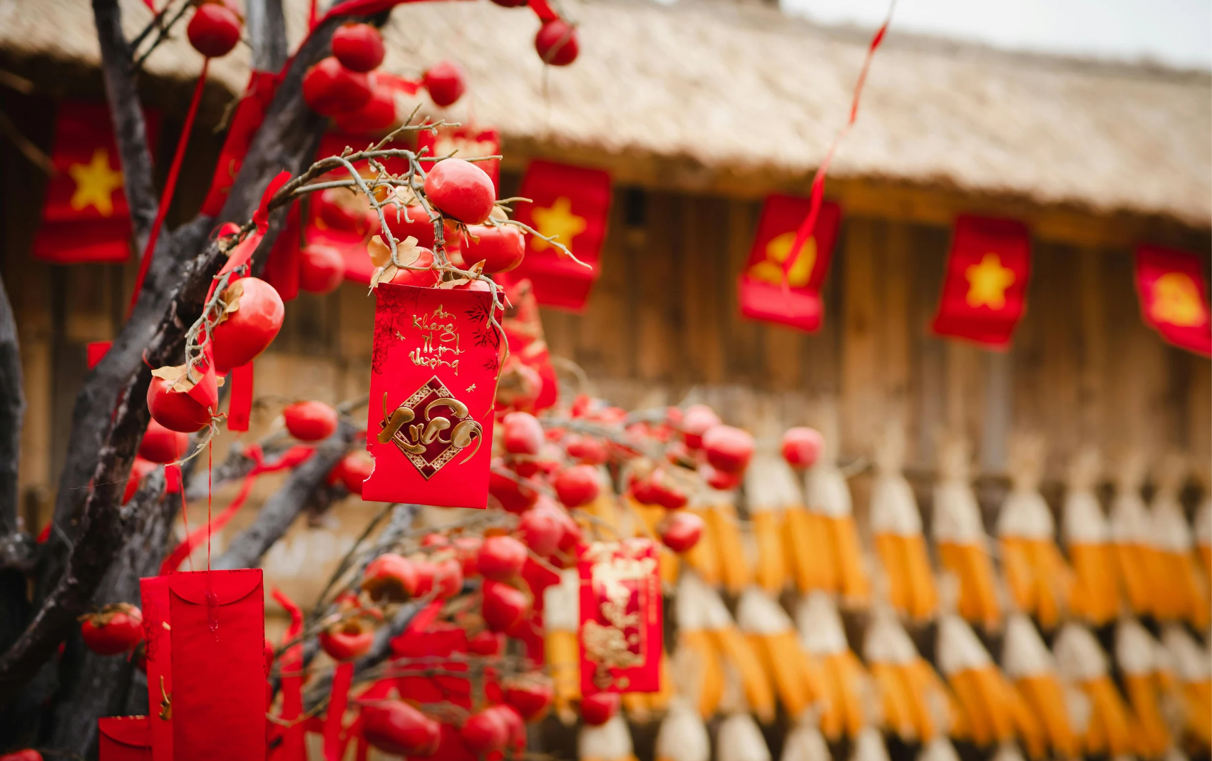 探索系列官網封面圖850X534_20260222_191852_0000